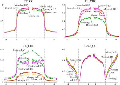 Genomic methylation patterns in pre-meiotic gynoecia of wild-type and RdDM mutants of Arabidopsis